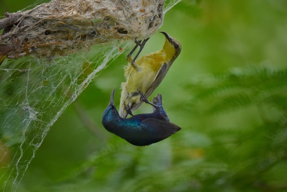 Photograph by Bhoobalakrishnan G