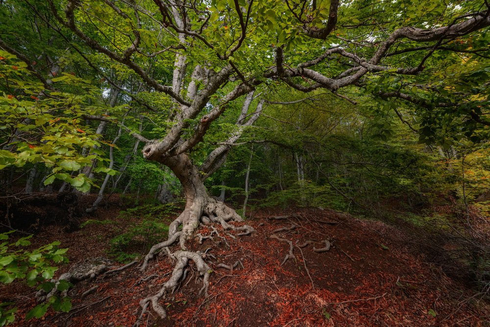 Photograph by Ольга Максимова