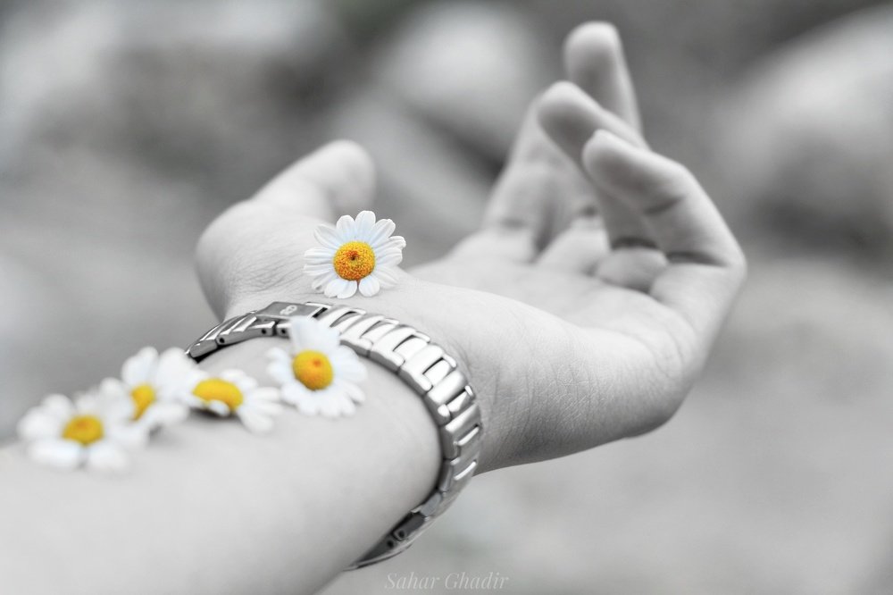 Photograph by Sahar Ghadir