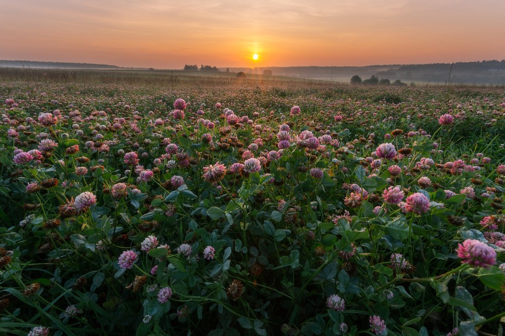 Фотография автора Мартыненко Дмитрий