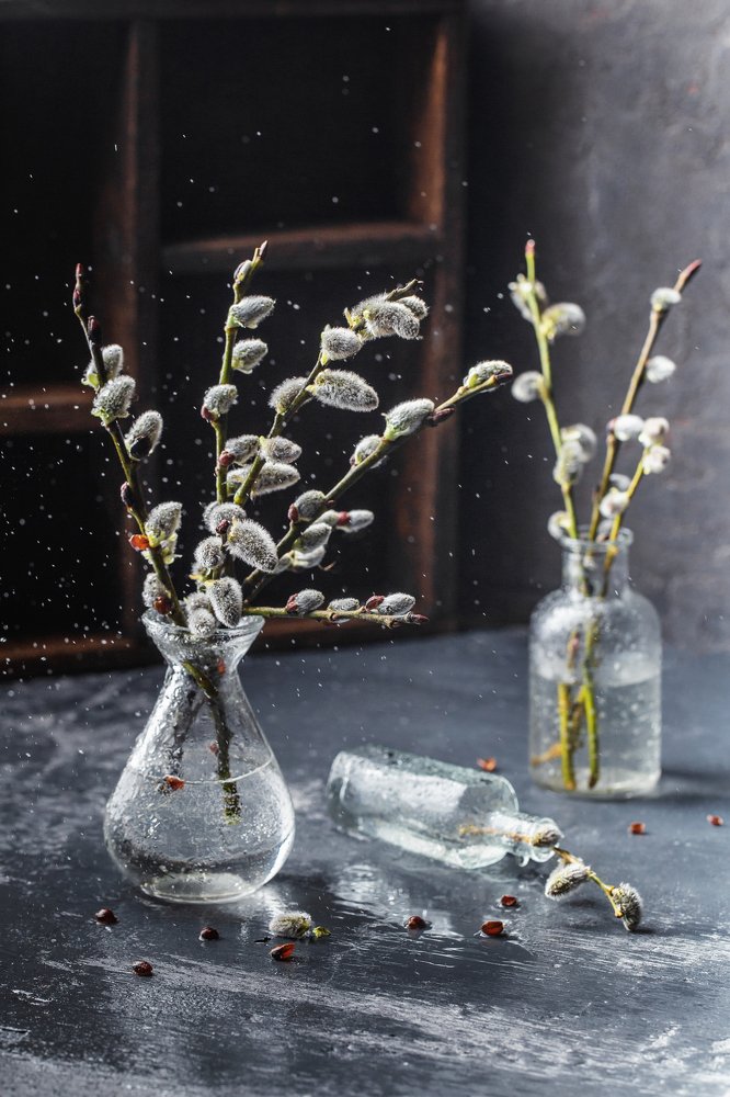 Photograph by Елена Корж