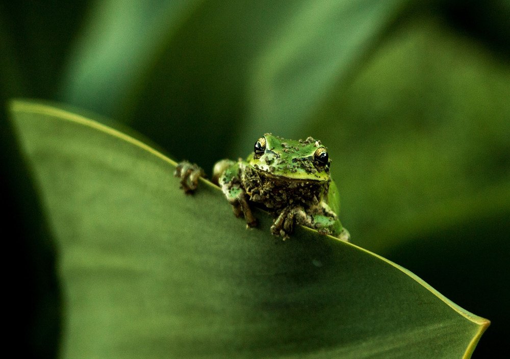 Photograph by Zahr-eddine GUERNICHE