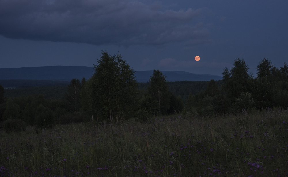 Фотография автора Александр  Швачко