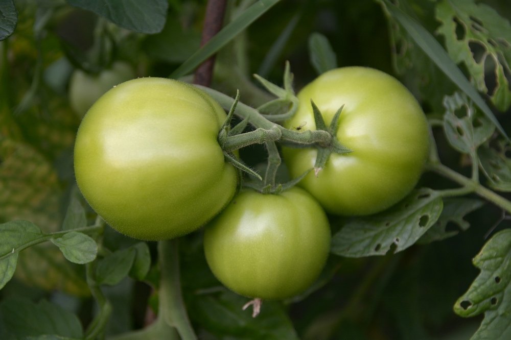 Photograph by Рожин Антон