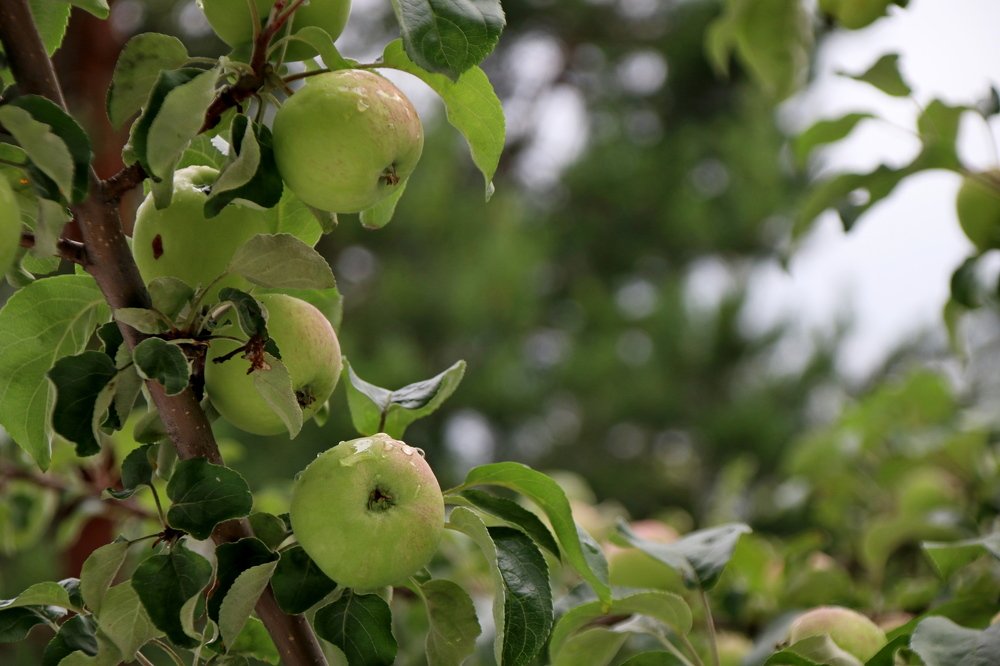 Photograph by Рожин Антон