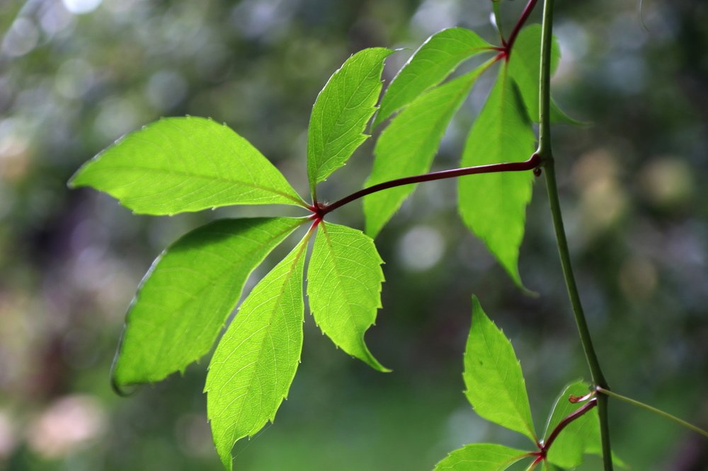 Photograph by Рожин Антон