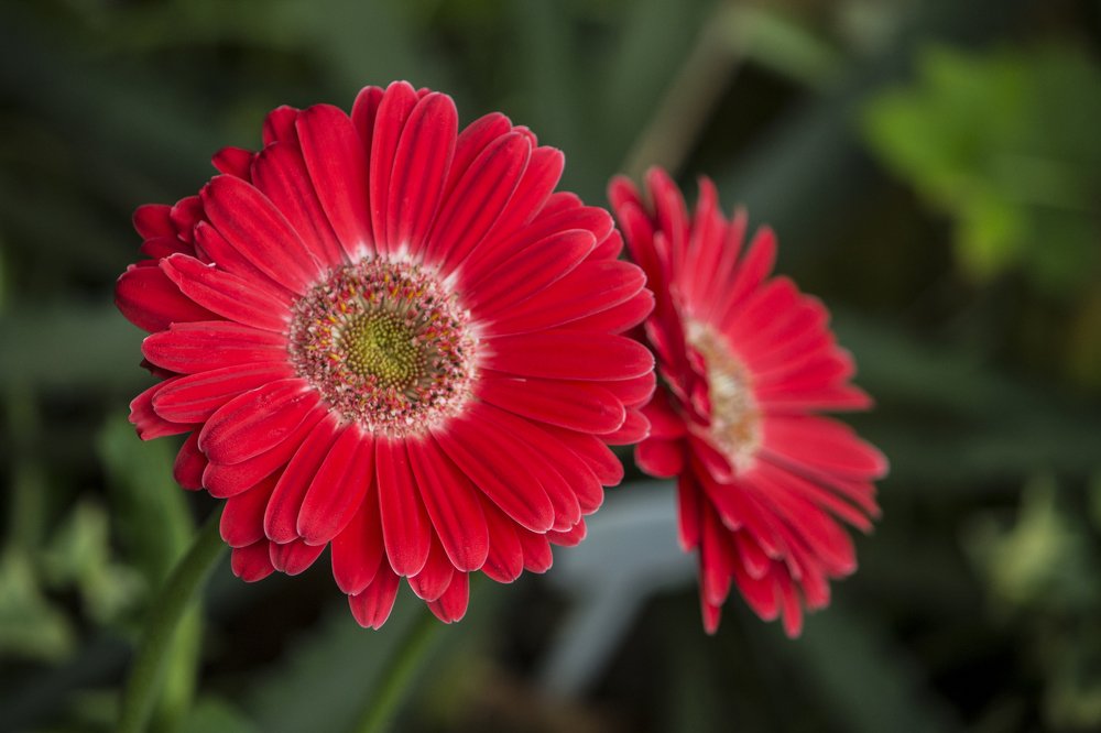 Photograph by Вячеслав Булатов