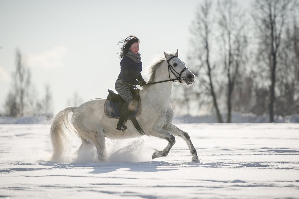 Фотография автора Ольга Руднева