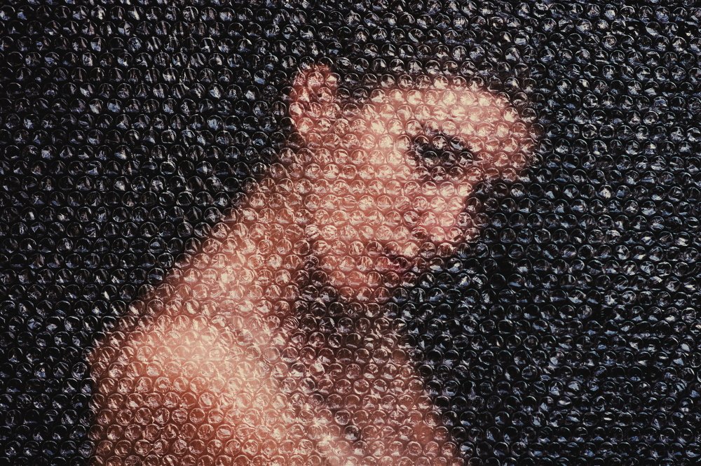 Photograph by Дмитрий Стадницкий