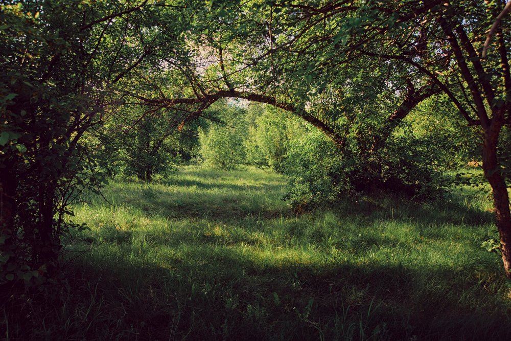 Photograph by Печерских Ксения