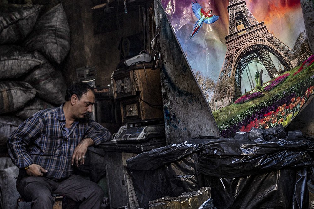 Photograph by mehdi yaghoobi