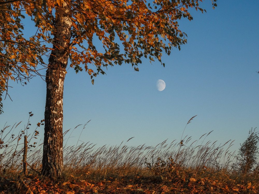 Photograph by Павел Шемякин