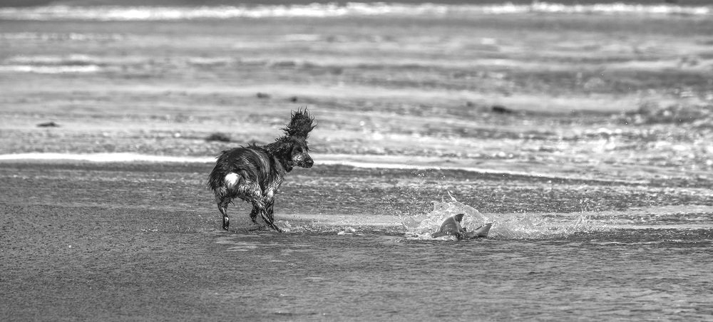 Фотография автора Анатолий Макоедов