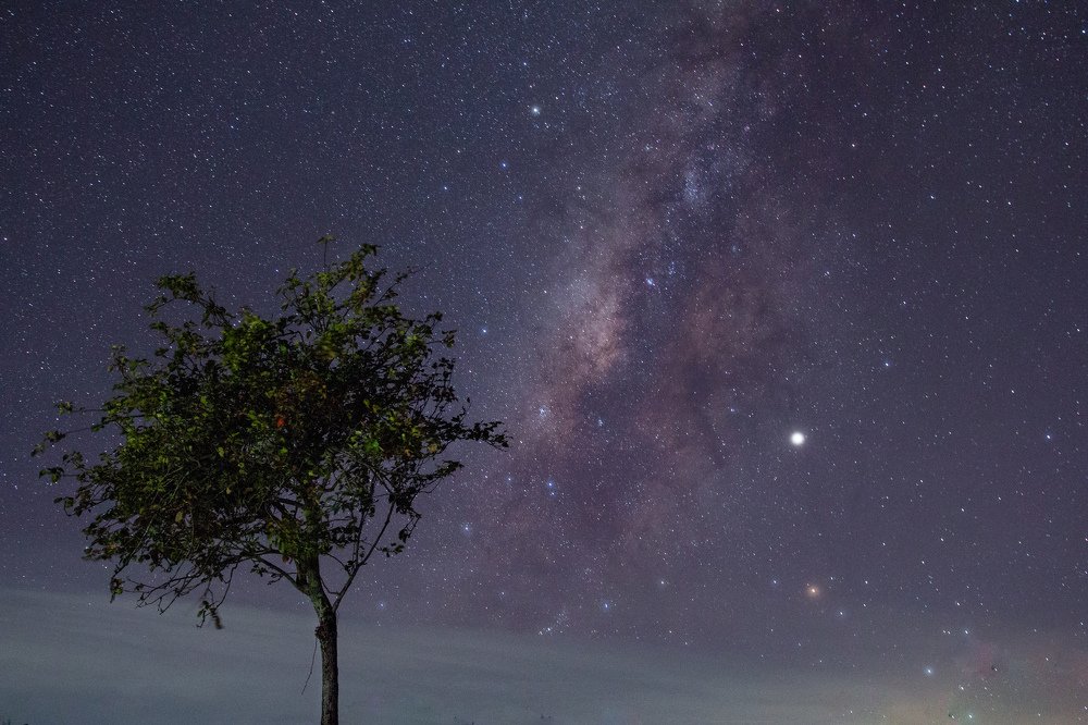 Photograph by  Mahalingam