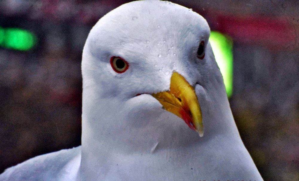 Photograph by Shukhrat Tulyaganov