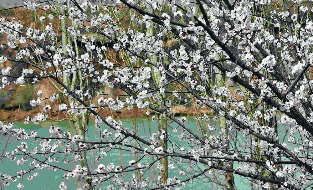 Photograph by Shukhrat Tulyaganov