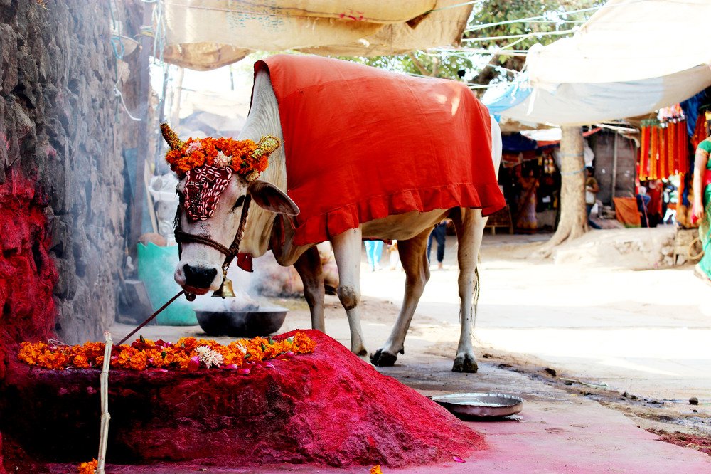 Photograph by Ashwini Solanki