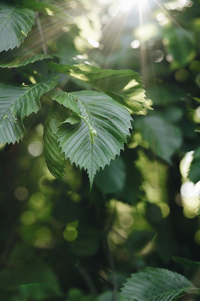 Фотография автора Екатерина Комиссарова