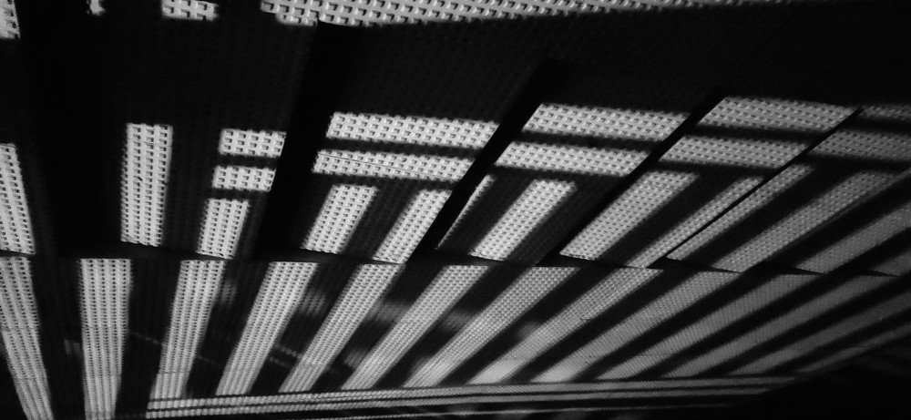 Photograph by GURJIT SHAH