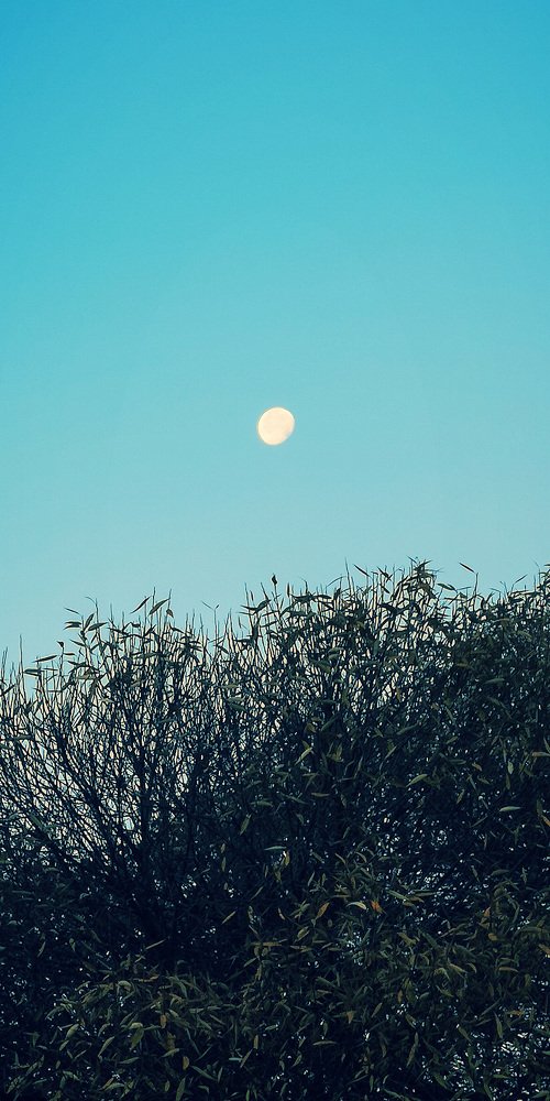 Photograph by Татьяна Чернышова