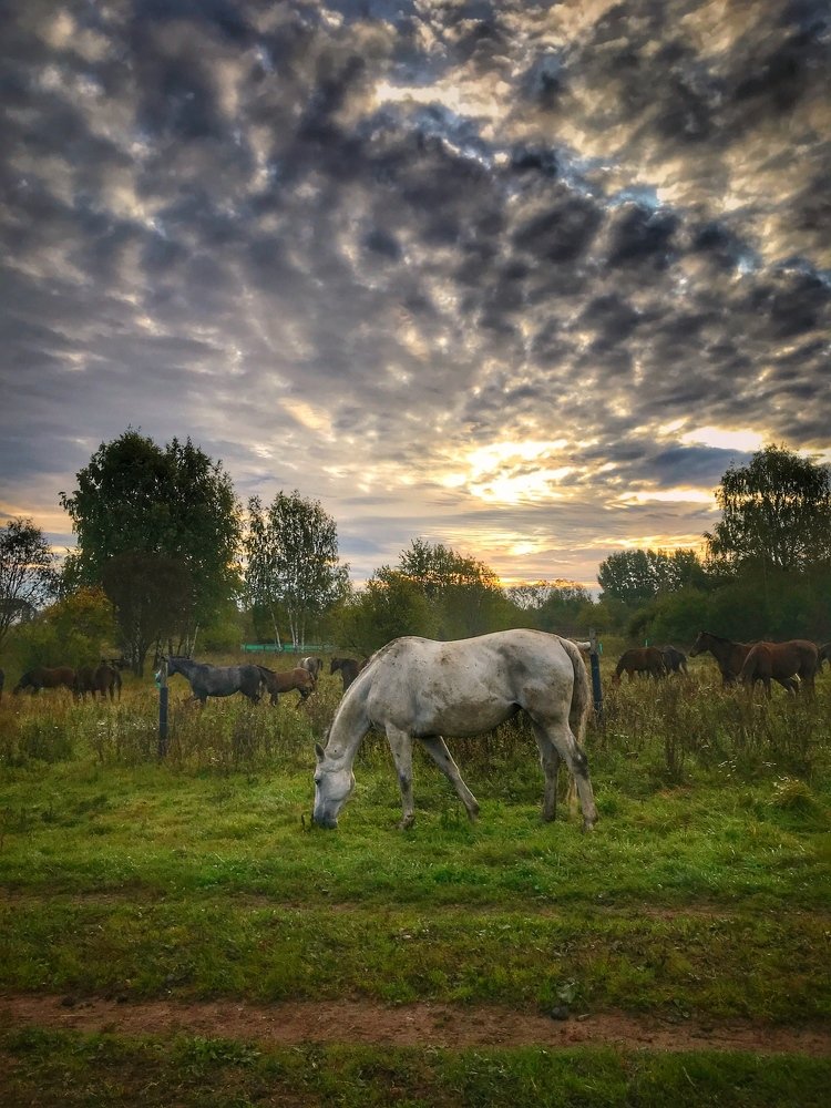 На рассвете
