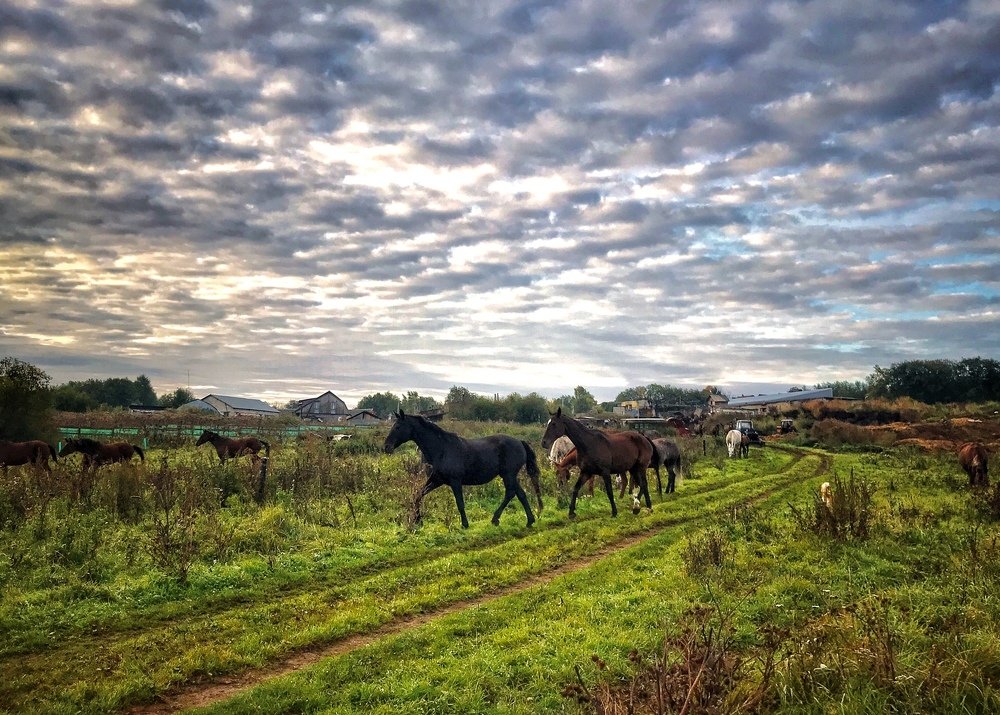 Photograph by Irina Usacheva