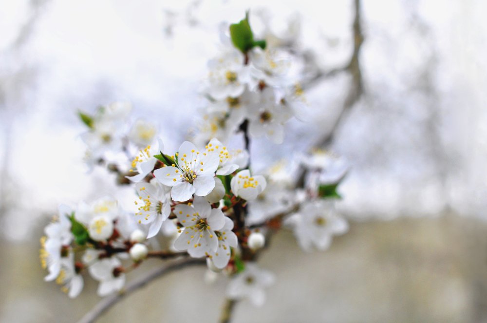 Photograph by Ольга Могдалёва