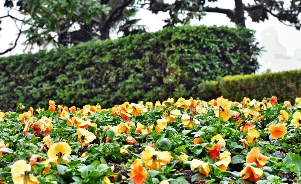 Photograph by Shukhrat Tulyaganov