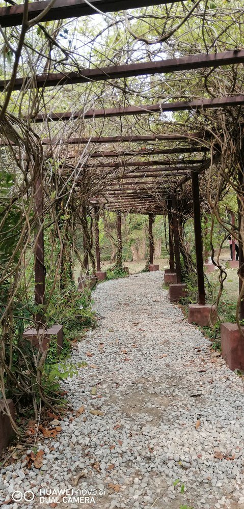 Photograph by Manish Manandhar