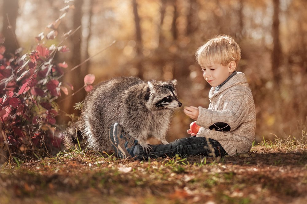 Золотая осень