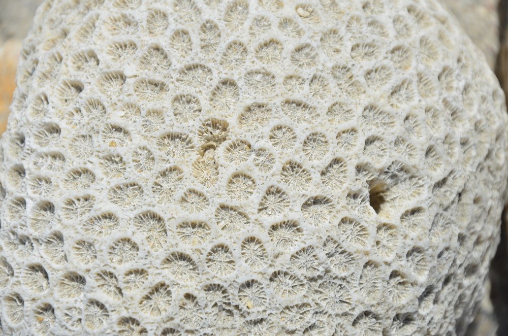 Photograph by Людмила Воропаева