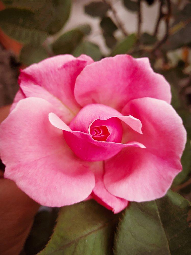 Photograph by Manish Manandhar