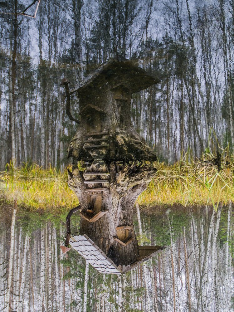 Photograph by Виктор Печищев