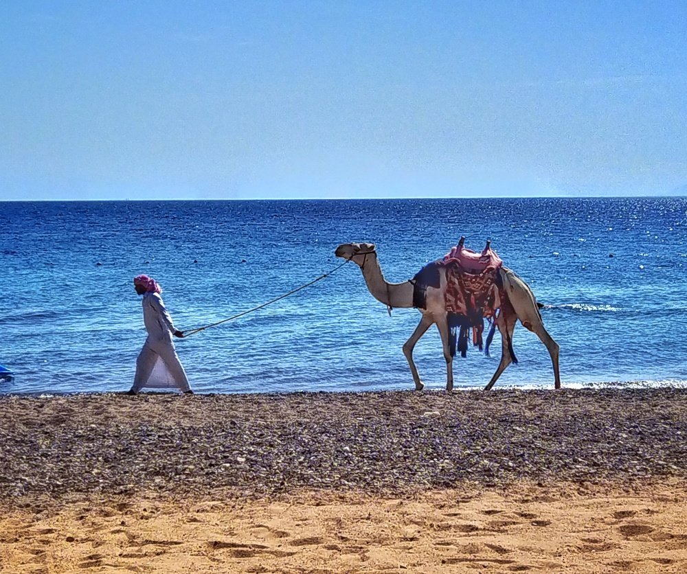 Photograph by Israel Roistacher