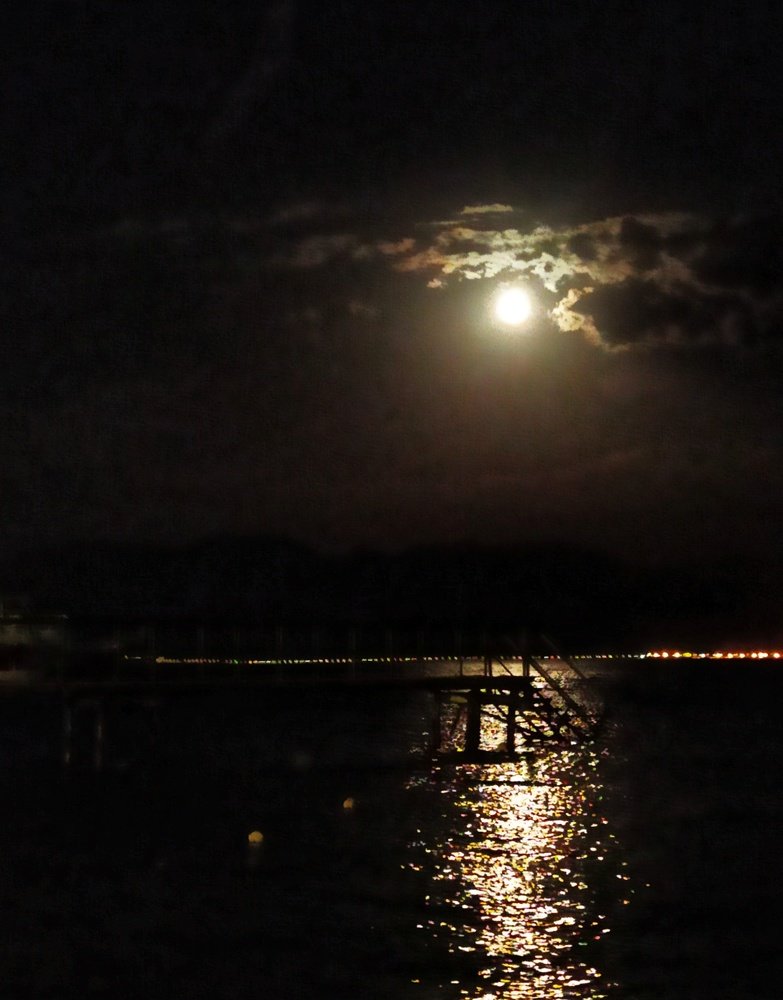 Photograph by Israel Roistacher