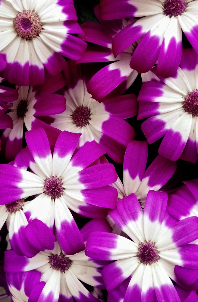 Photograph by Manish Manandhar