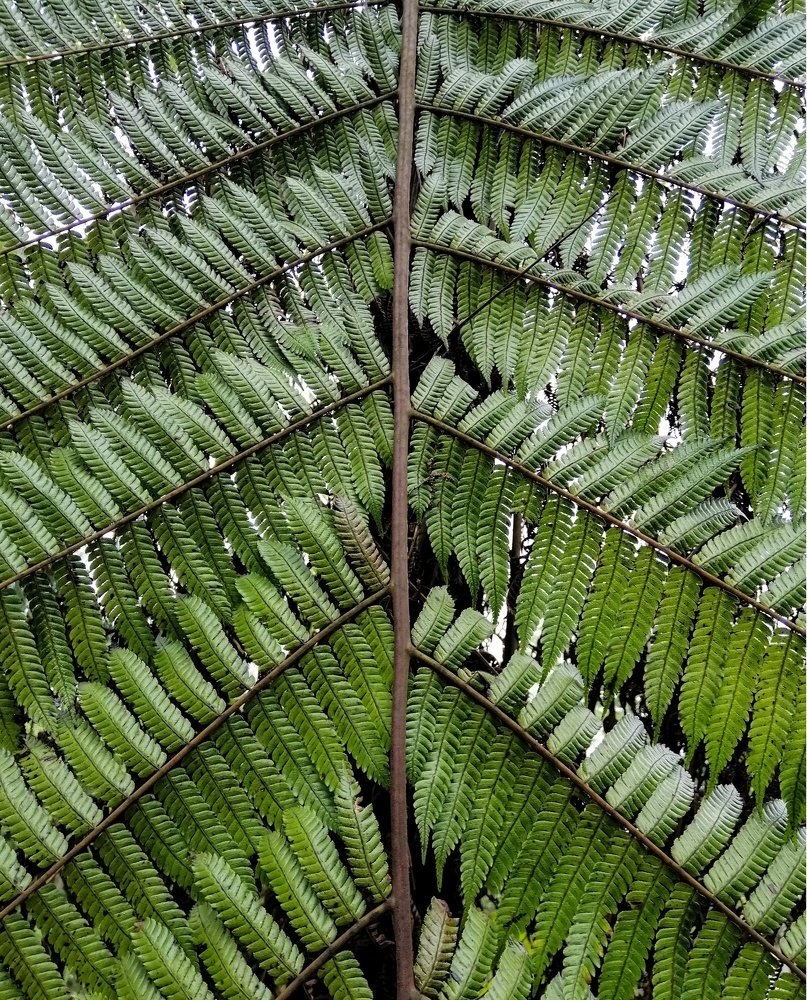 Photograph by Manish Manandhar