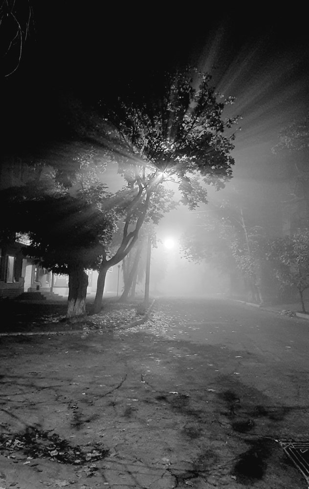 Фотография автора Александр Федоренко