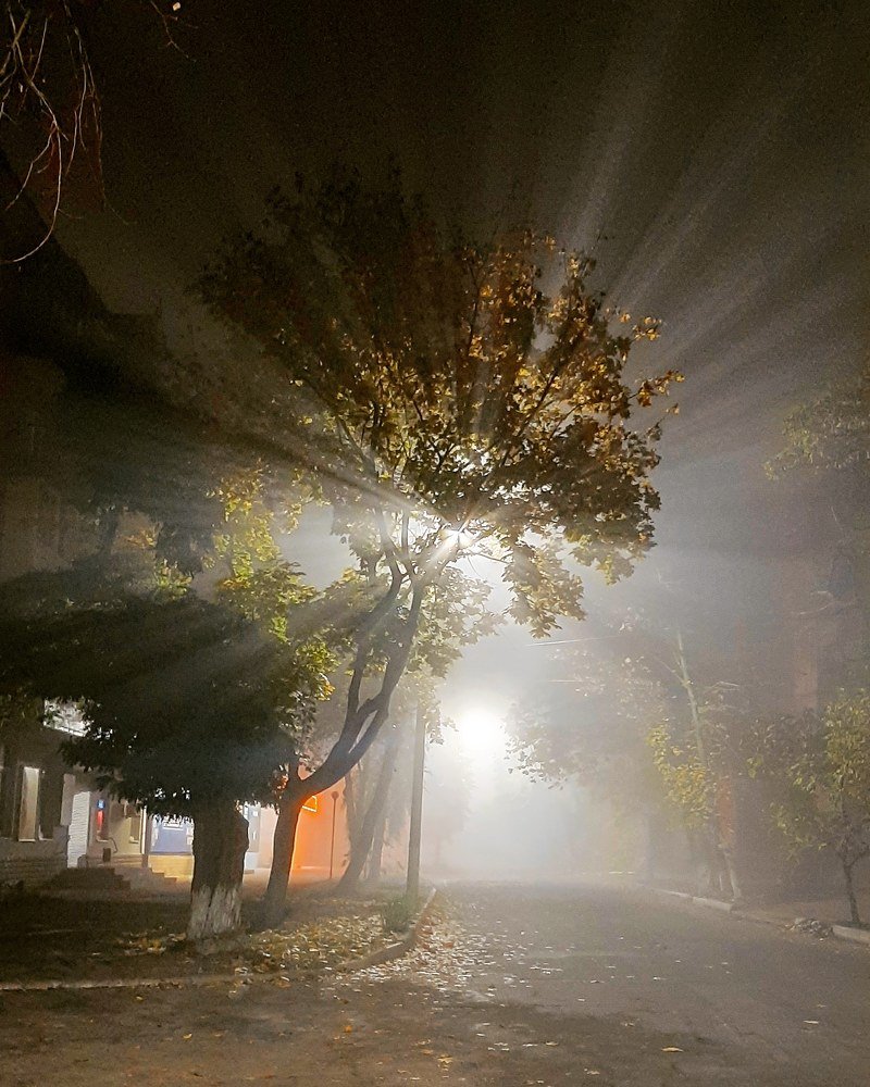 Фотография автора Александр Федоренко