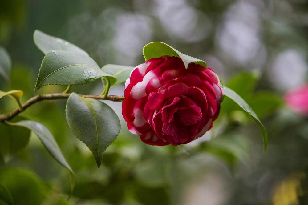 Photograph by Вячеслав Булатов