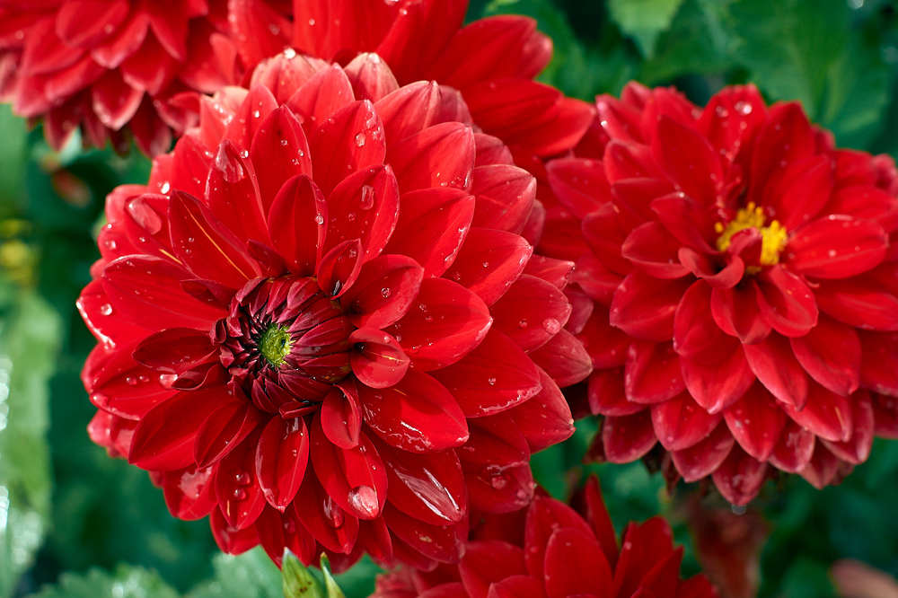 Photograph by Артём Новиков