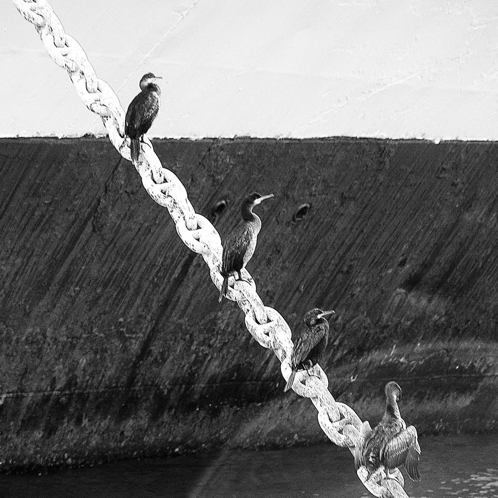 Photograph by Анастасия Лившиц