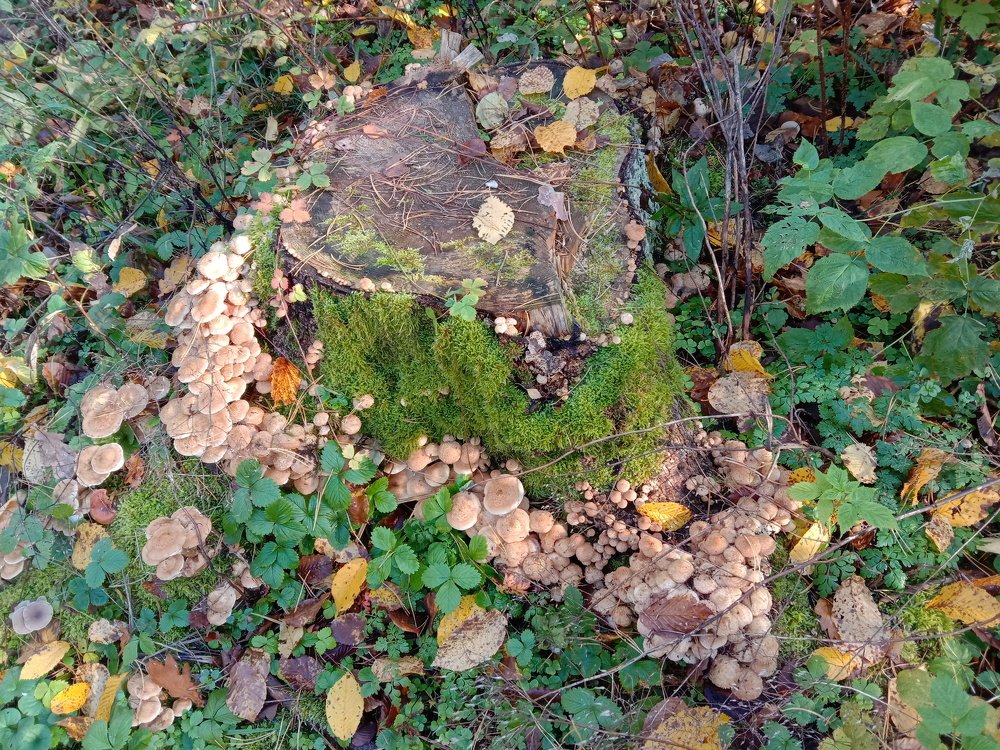 Photograph by Вячеслав Чирин