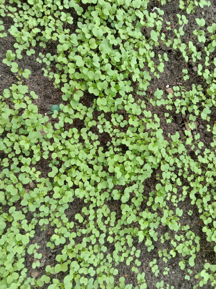 Photograph by Вячеслав Чирин