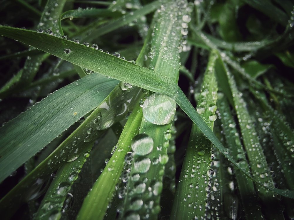 Photograph by Максим