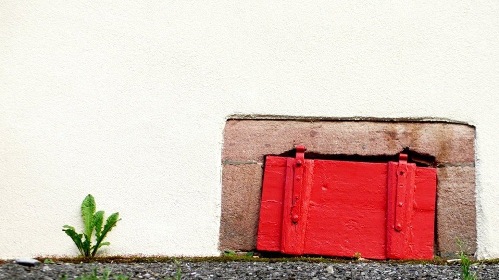 Photograph by Антон Лаба