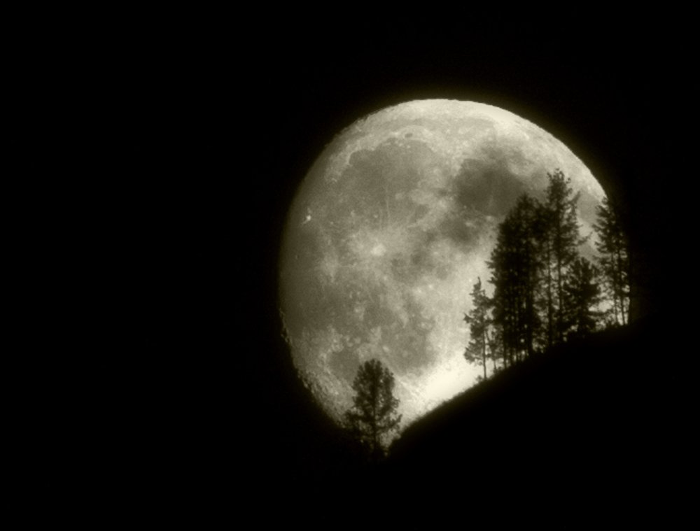 Повыть на Луну...