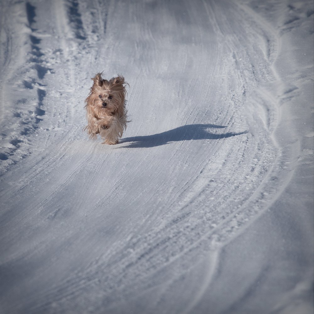 Photograph by Алексей Трофимов