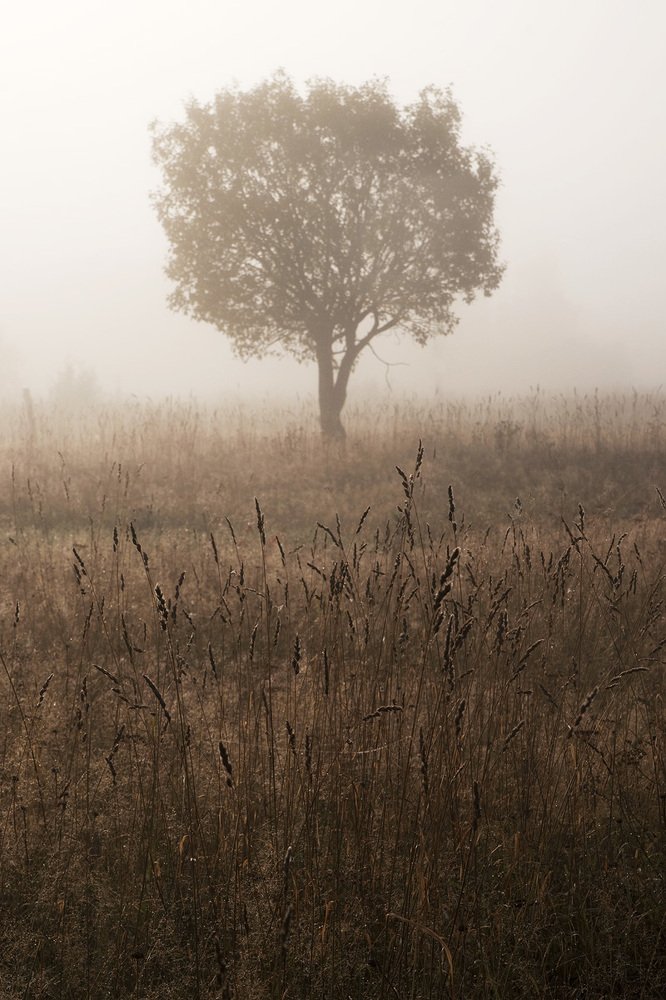 Photograph by Владимир Письмак