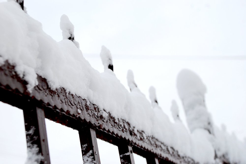 Photograph by Gordana Nikolovska-Dimeska